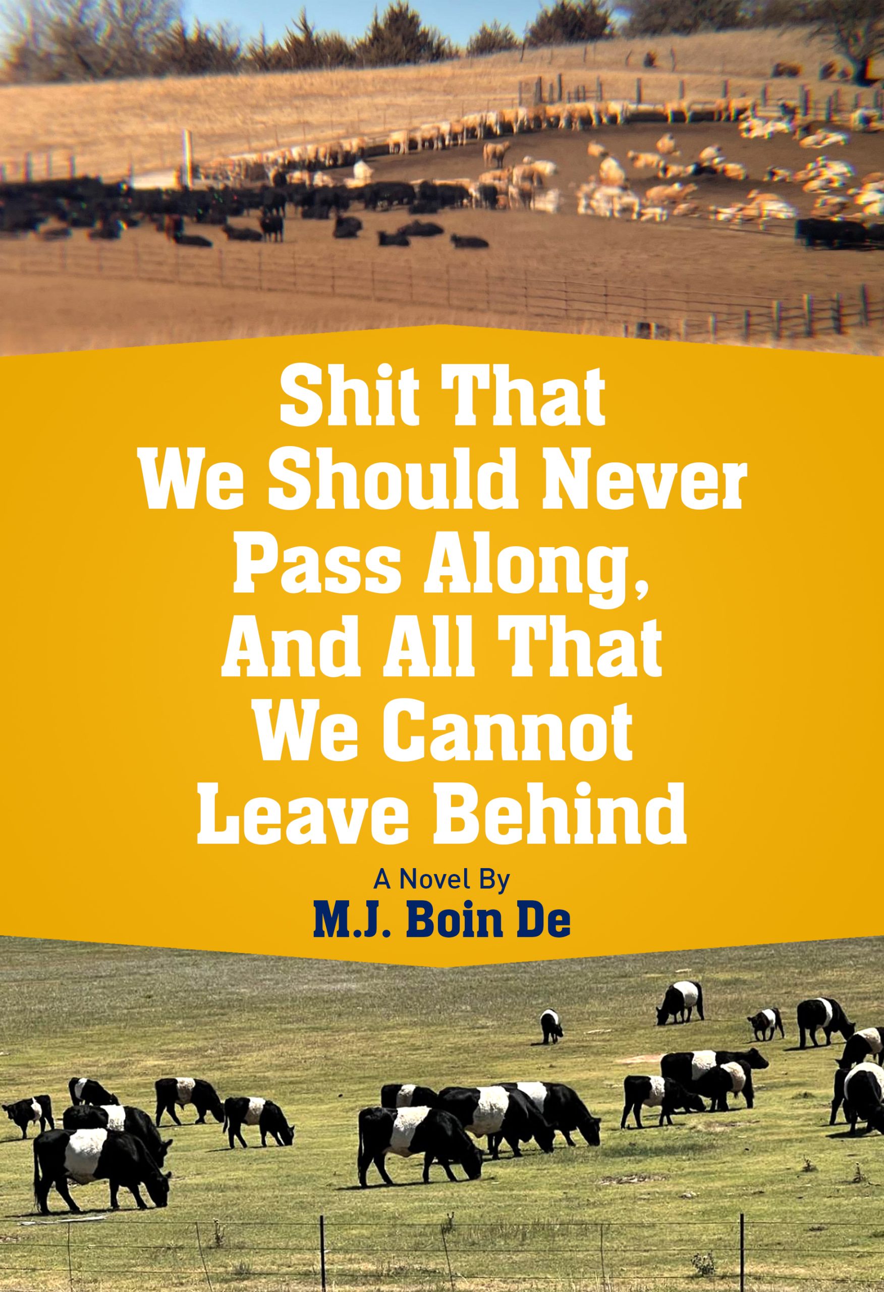 Featured Post: Shit That We Should Never Pass Along And All That We Cannot Leave Behind by M.J. Boin De