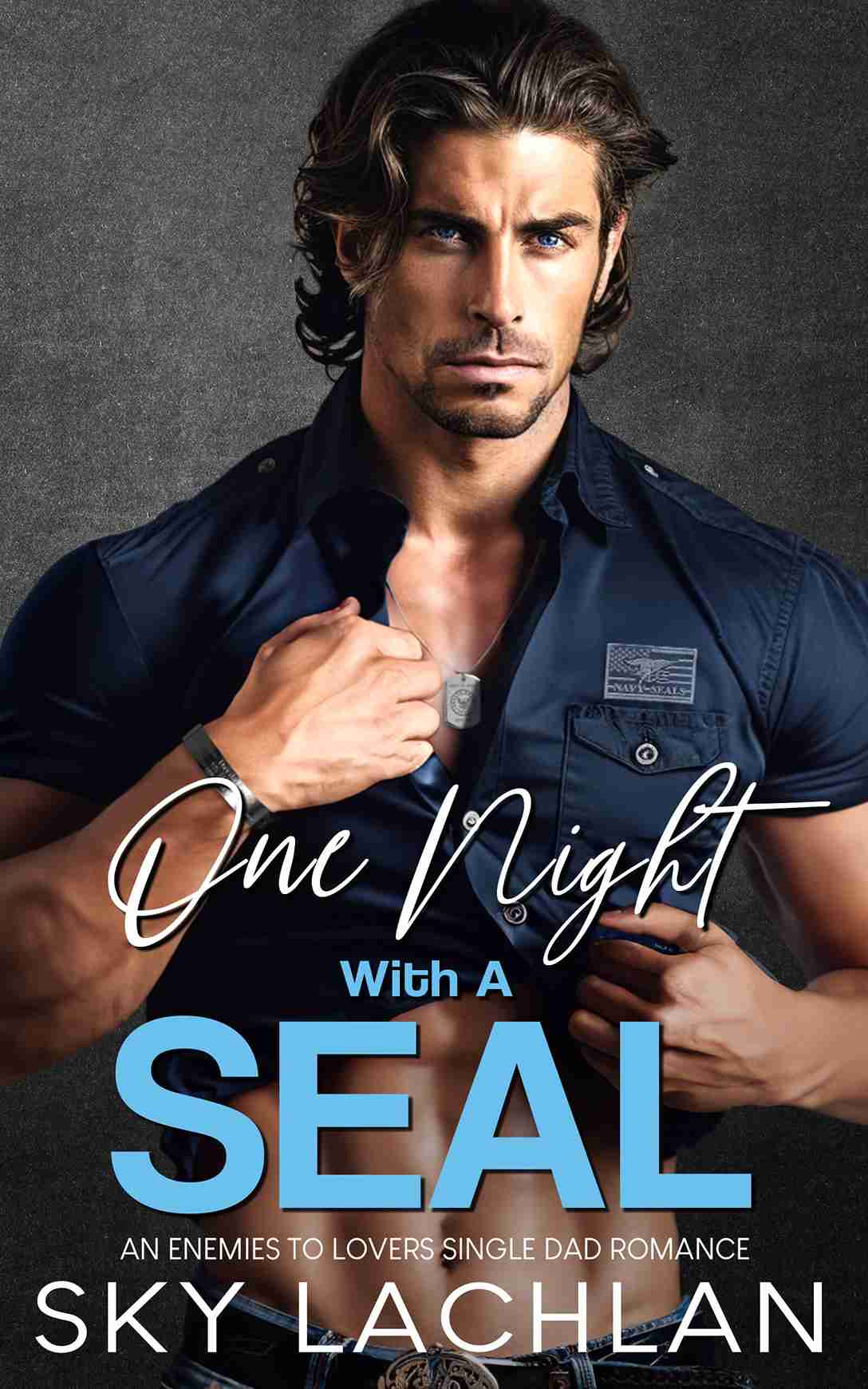 Featured Post: One Night With A SEAL by Sky Lachlan