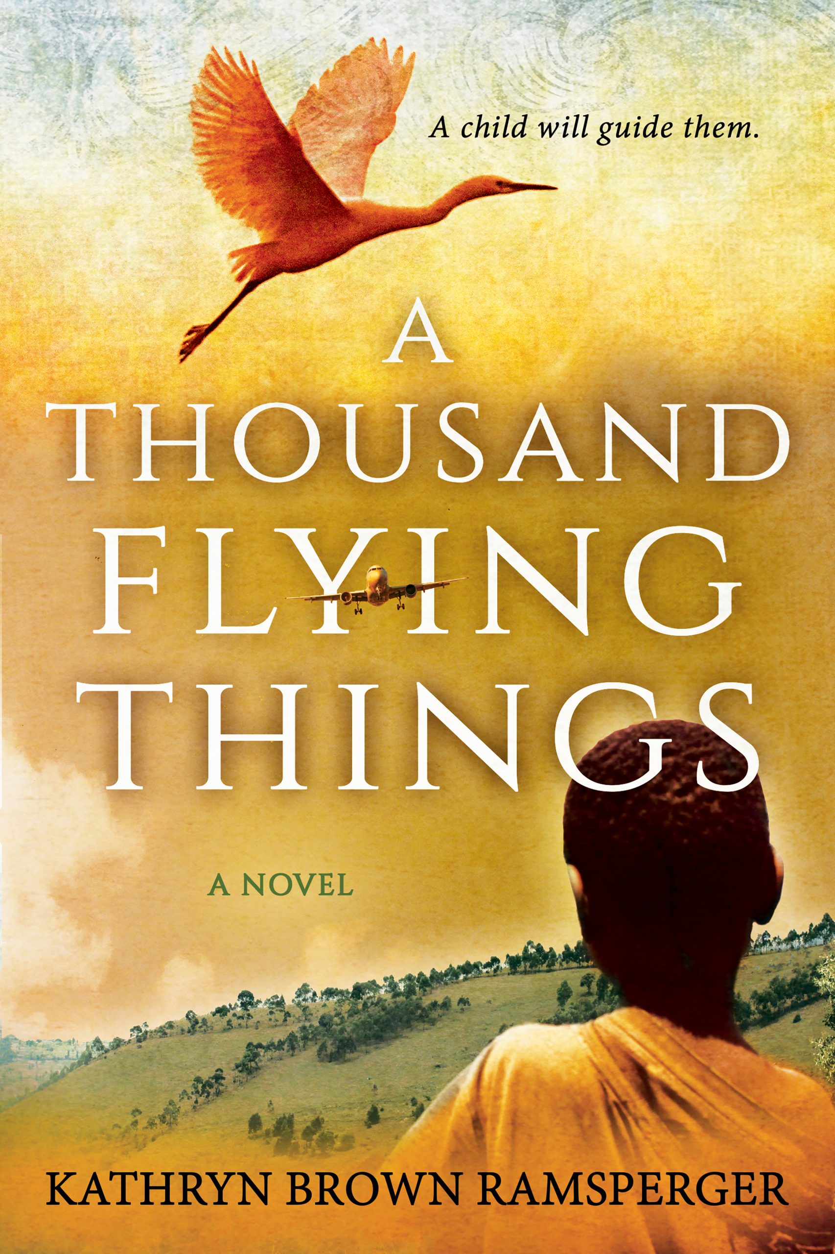 Featured Post: A Thousand Flying Things by Kathryn Brown Ramsperger