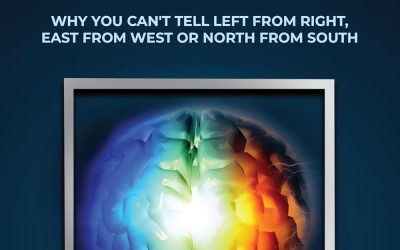 FEATURED: Center-Brained by E.Patsy Greenland