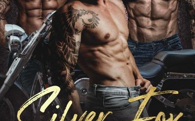 FEATURED: Silver Fox Daddies by Liz Archer